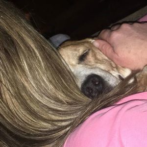 Meet your Posher, Marci